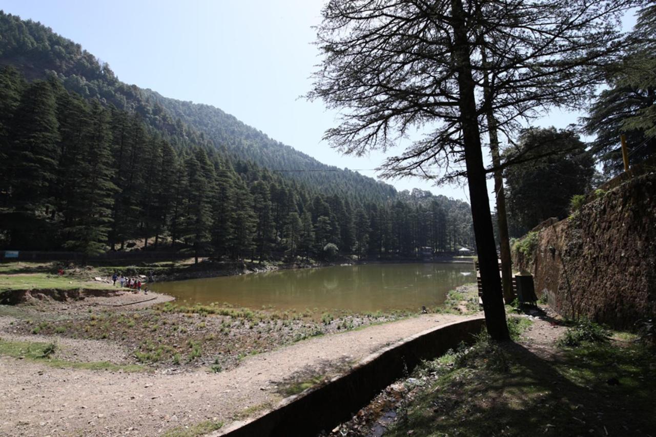 Harmony Blue Mcleodganj Hotell McLeod Ganj Eksteriør bilde