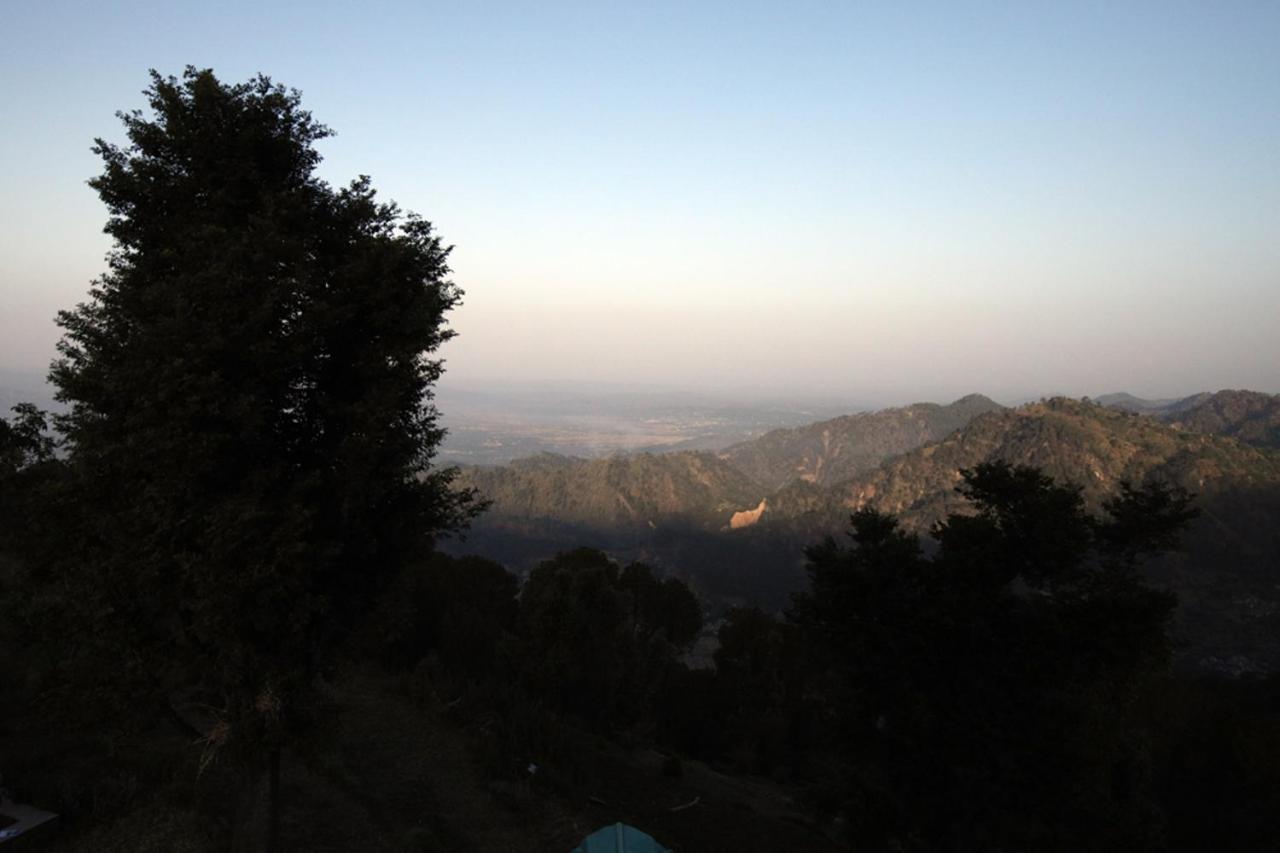 Harmony Blue Mcleodganj Hotell McLeod Ganj Eksteriør bilde